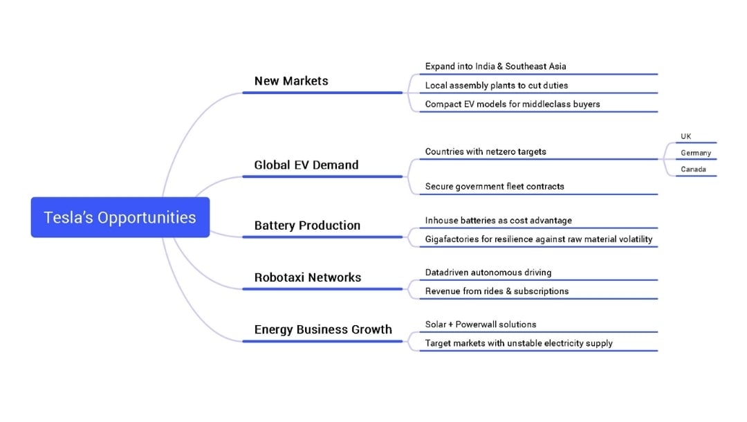 tesla opportunities overview