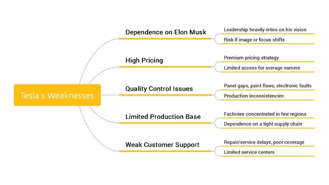tesla weaknesses summary