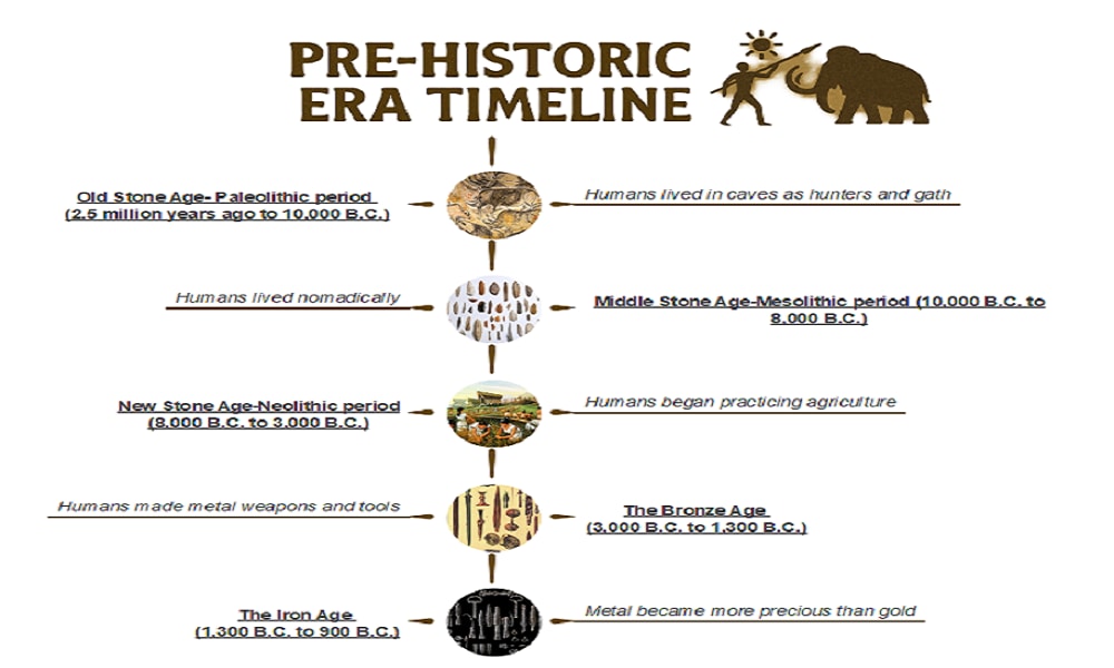 pre-historic timeline infographic-information-rich design