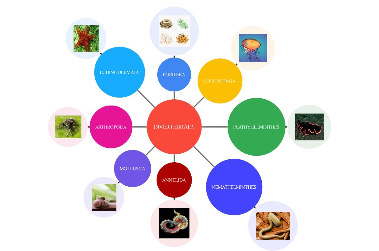 bubble map example