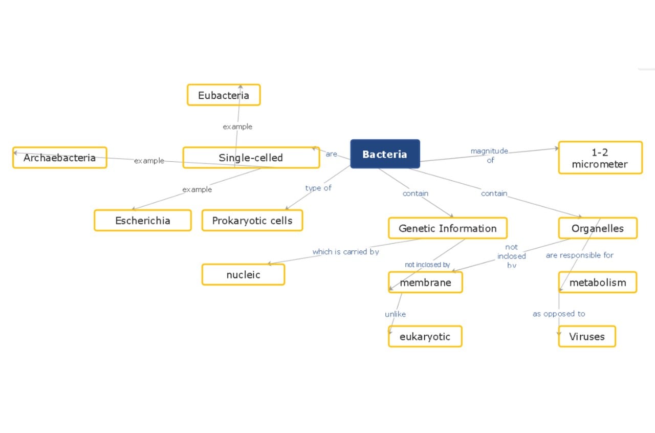 concept map example