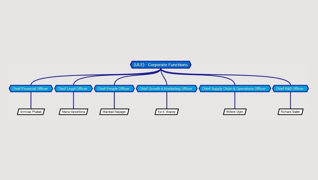 uniliver organizational key functions