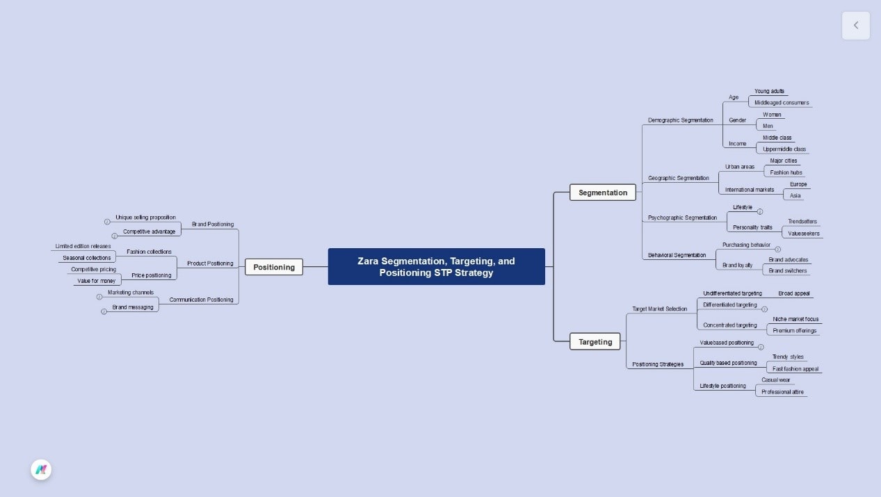 stp mind map of zara