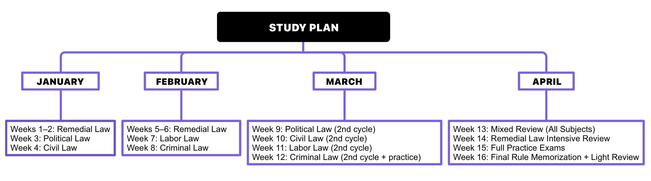 4개월 전체 학습 계획표