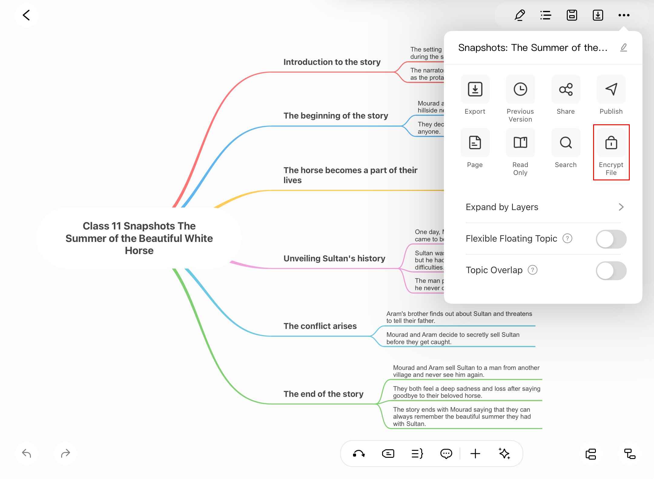 edrawmind encrypt file
