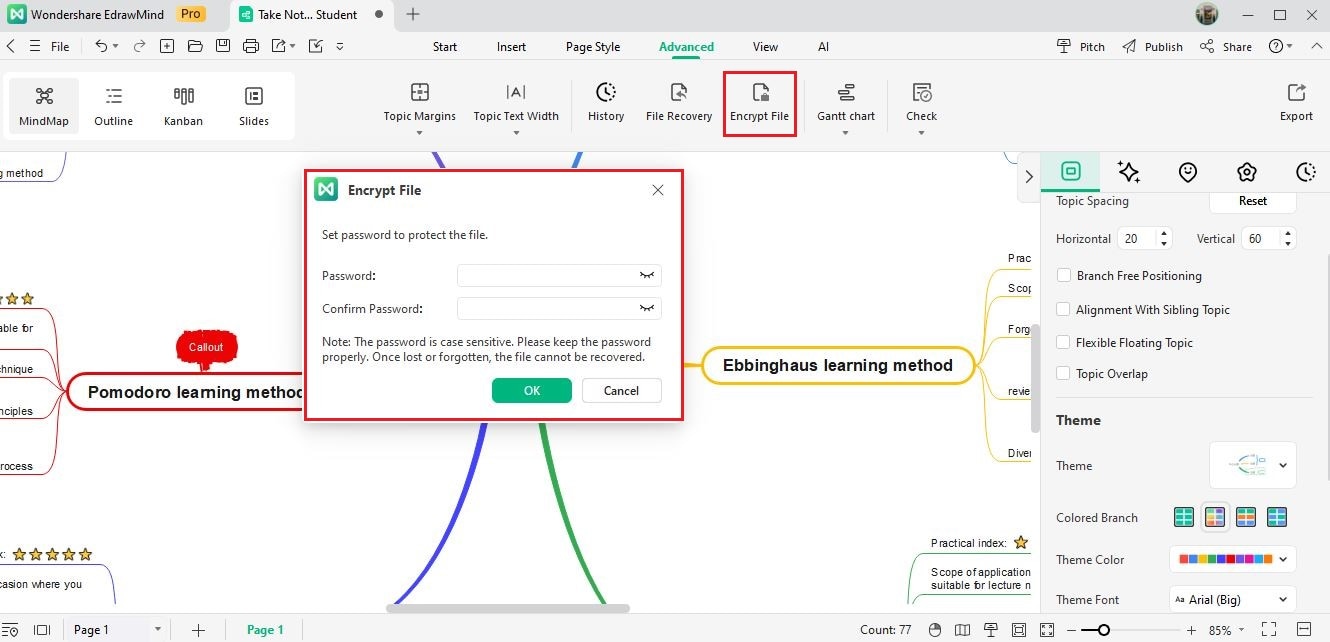 edrawmind encrypt file