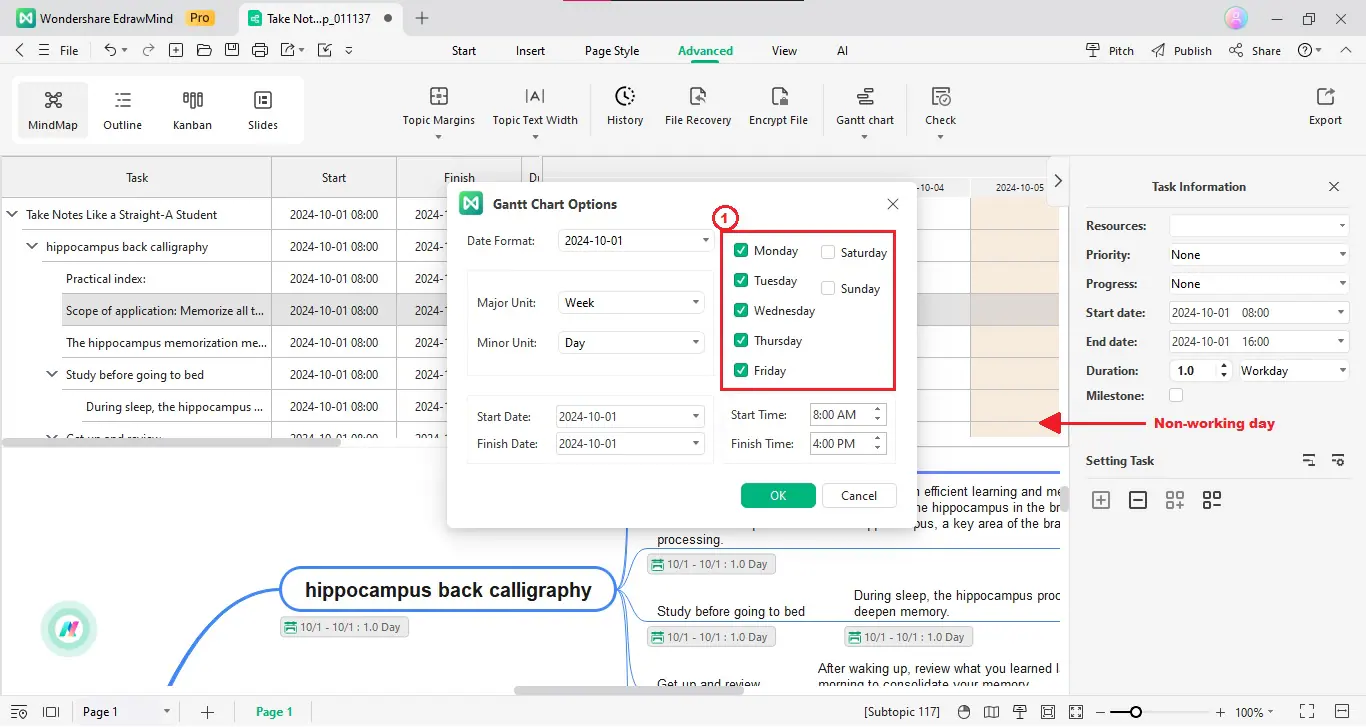 edrawmind set working and non-working days