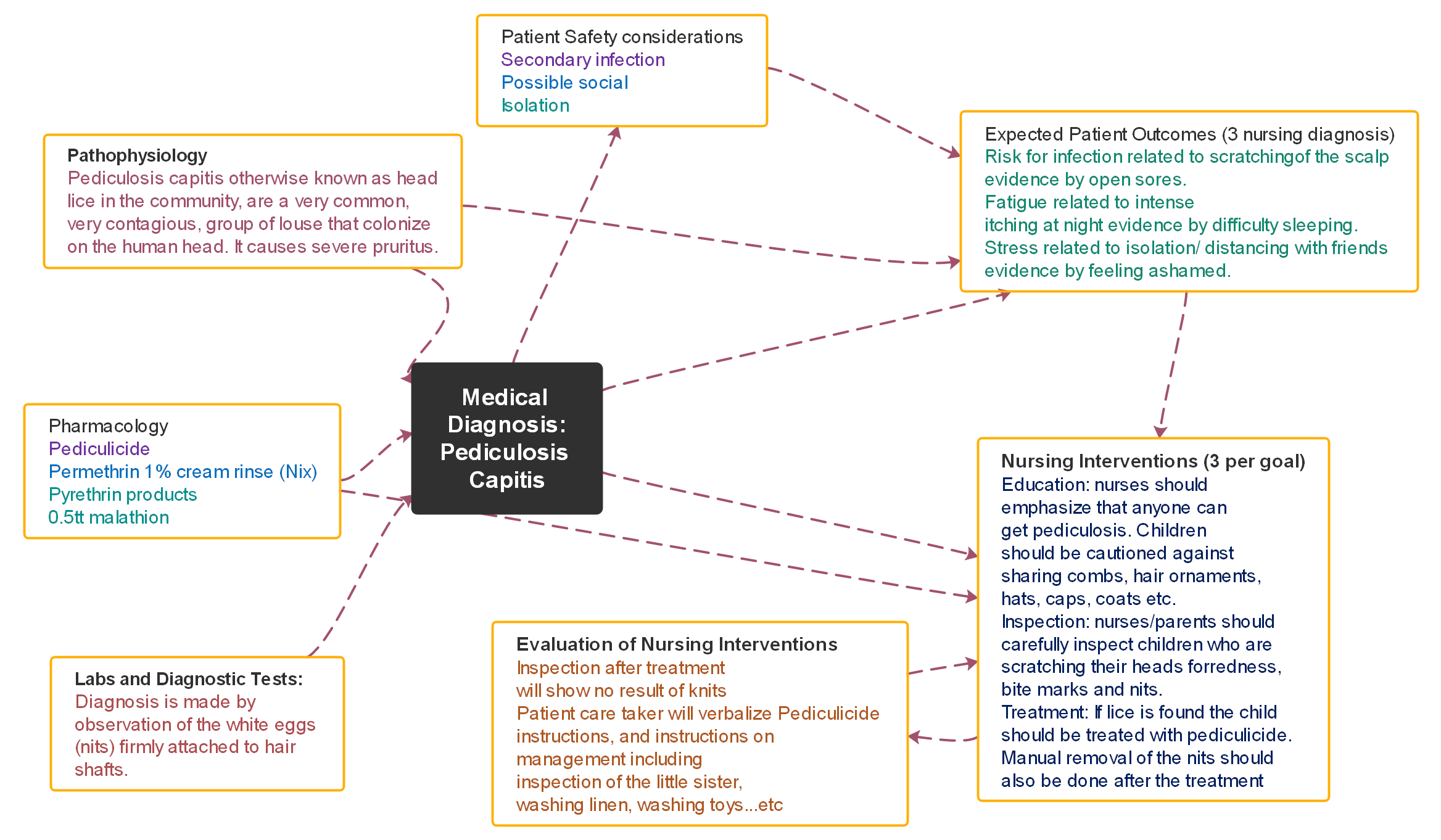 Nursing Concept Map Example