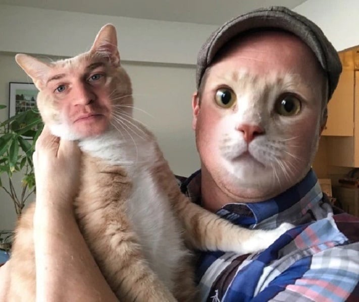 face swap with pet cat