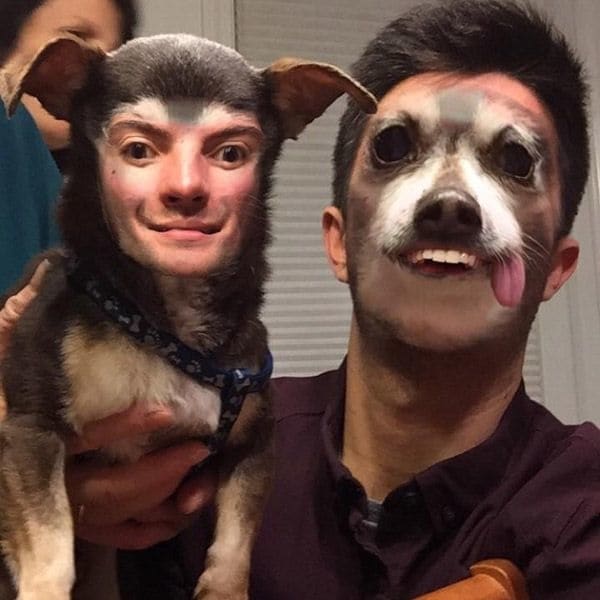 face swap with pet puppy