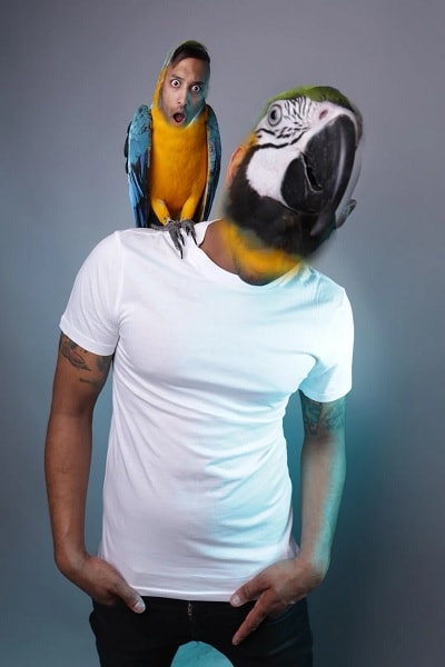face swap with pet parrot