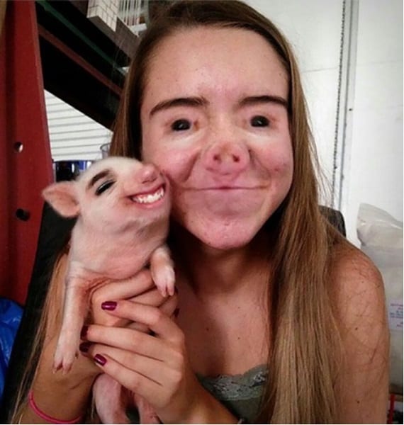 pig and woman face swap