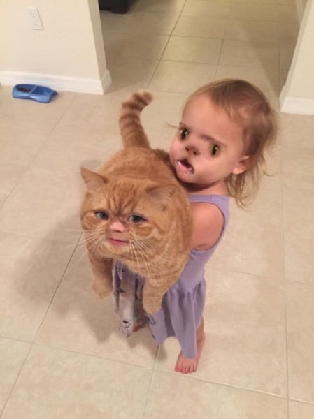baby and cat face swap