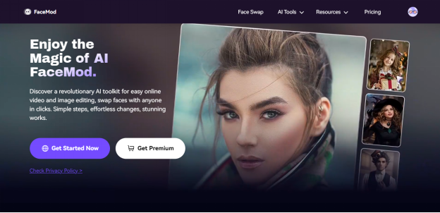 FaceHub website interface 