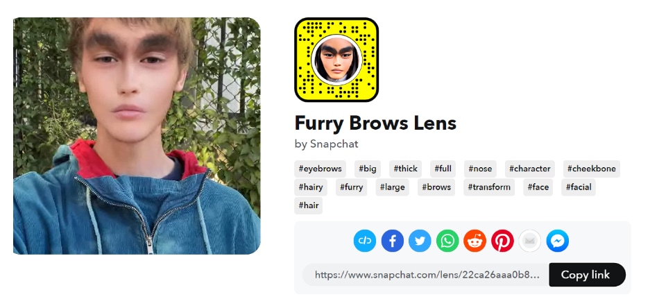 Furry Brow Lens Snapchat