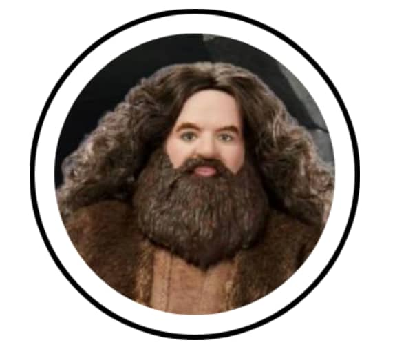 Snapchat Hagrid Beard Lens