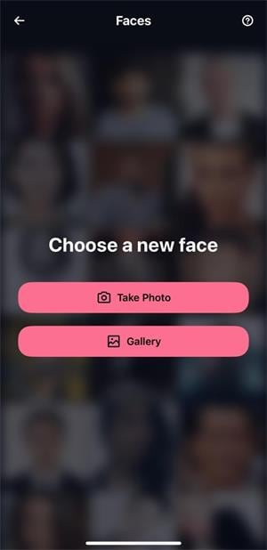 chose face to swap 