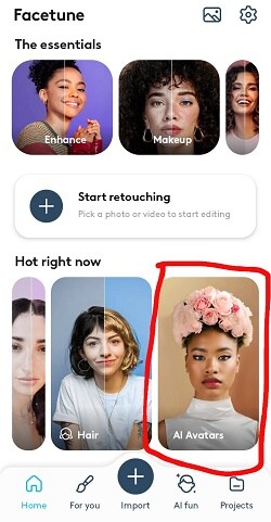 facetune app interface