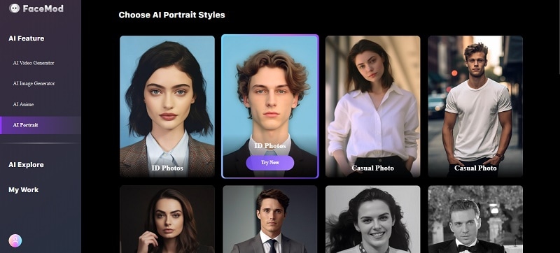 various styles in FaceHub including id photos
