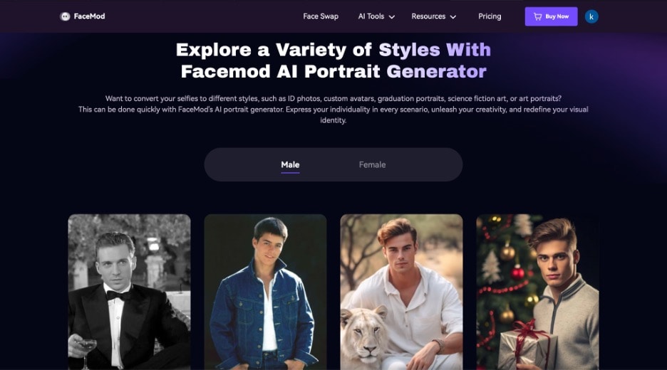 FaceHub ai portrait online tool