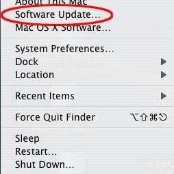 update browser on mac