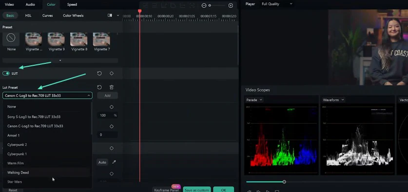 lut option in filmora