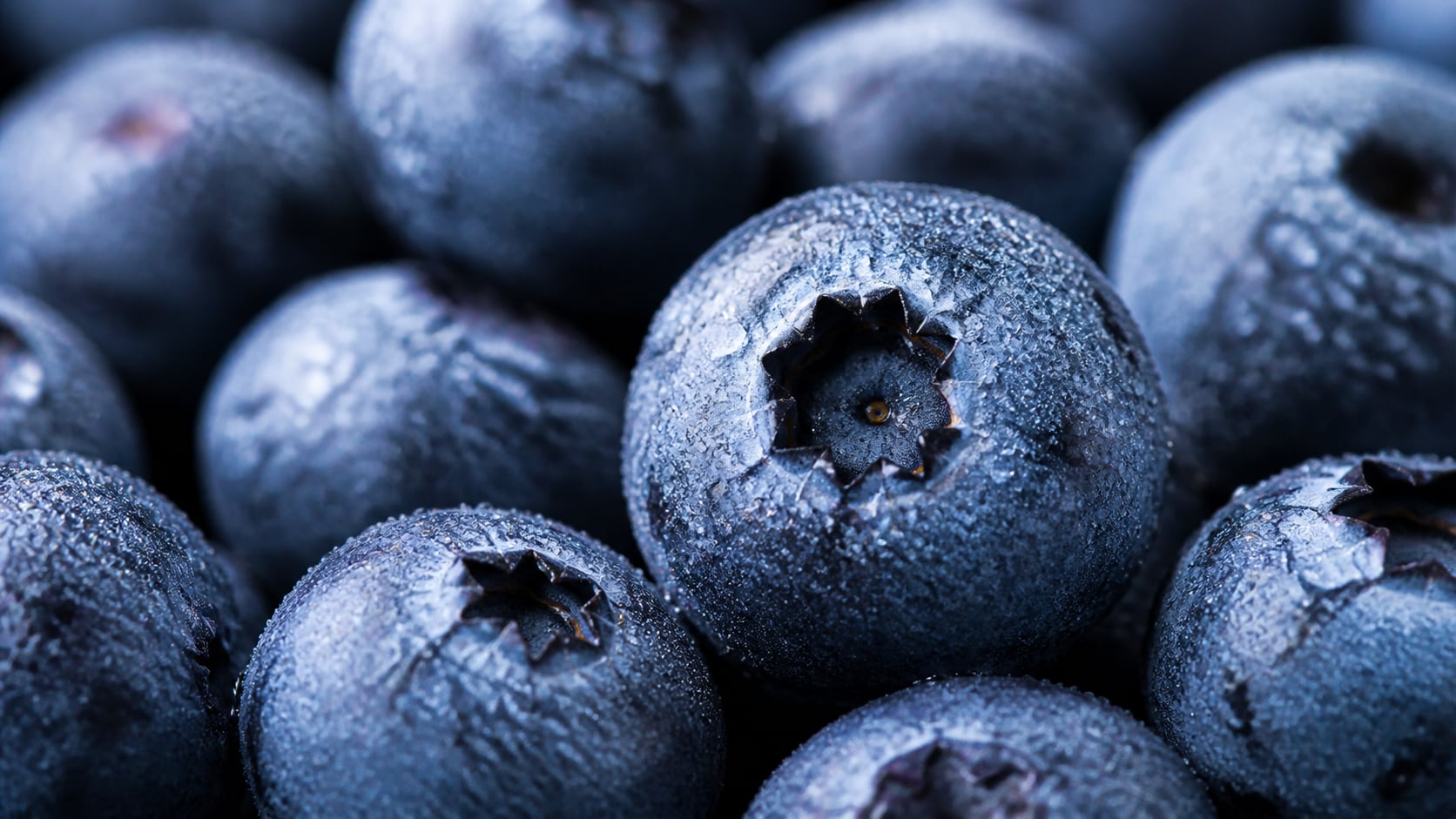 GPT Image 2 creating controlled AI blueberry image prompt results in Filmora