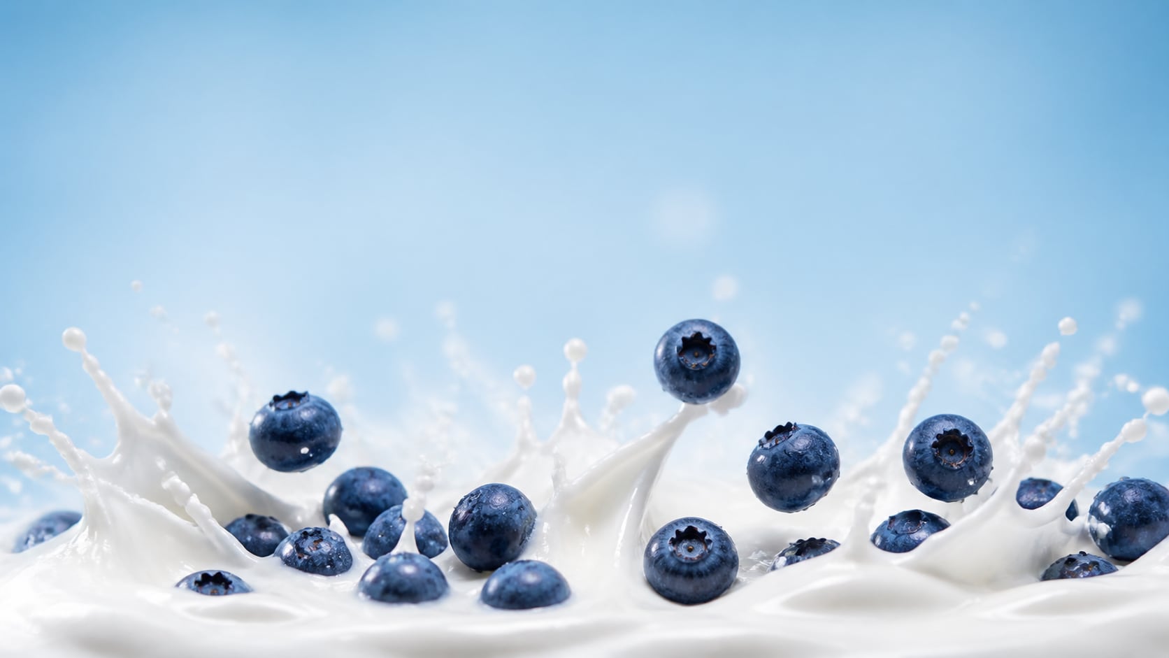 AI blueberry image prompt still image converted into video in Filmora