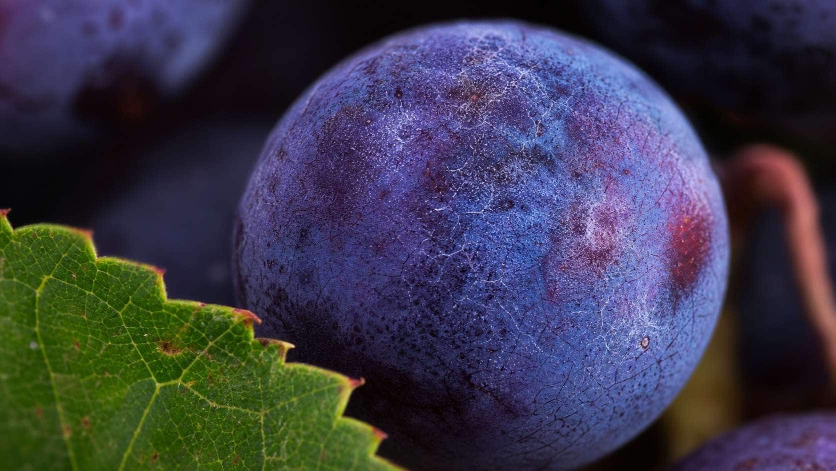 Macro close up grape prompt for Midjourney styling
