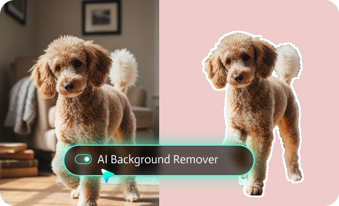 dog photo and video editor