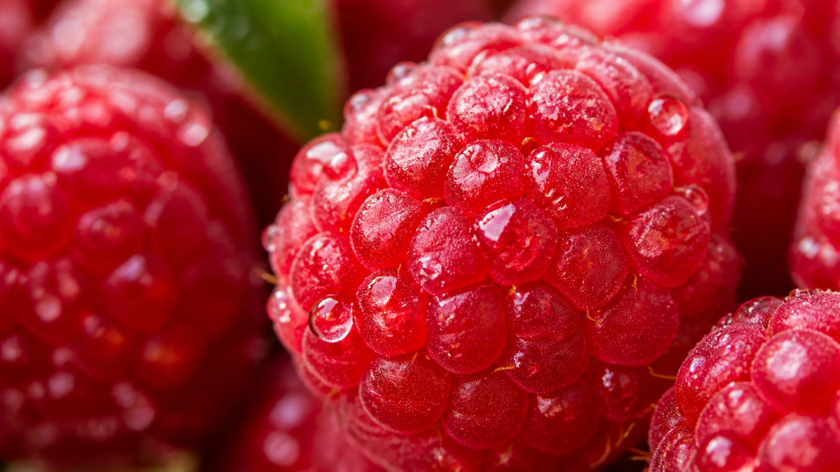 raspberry fruit photo prompts