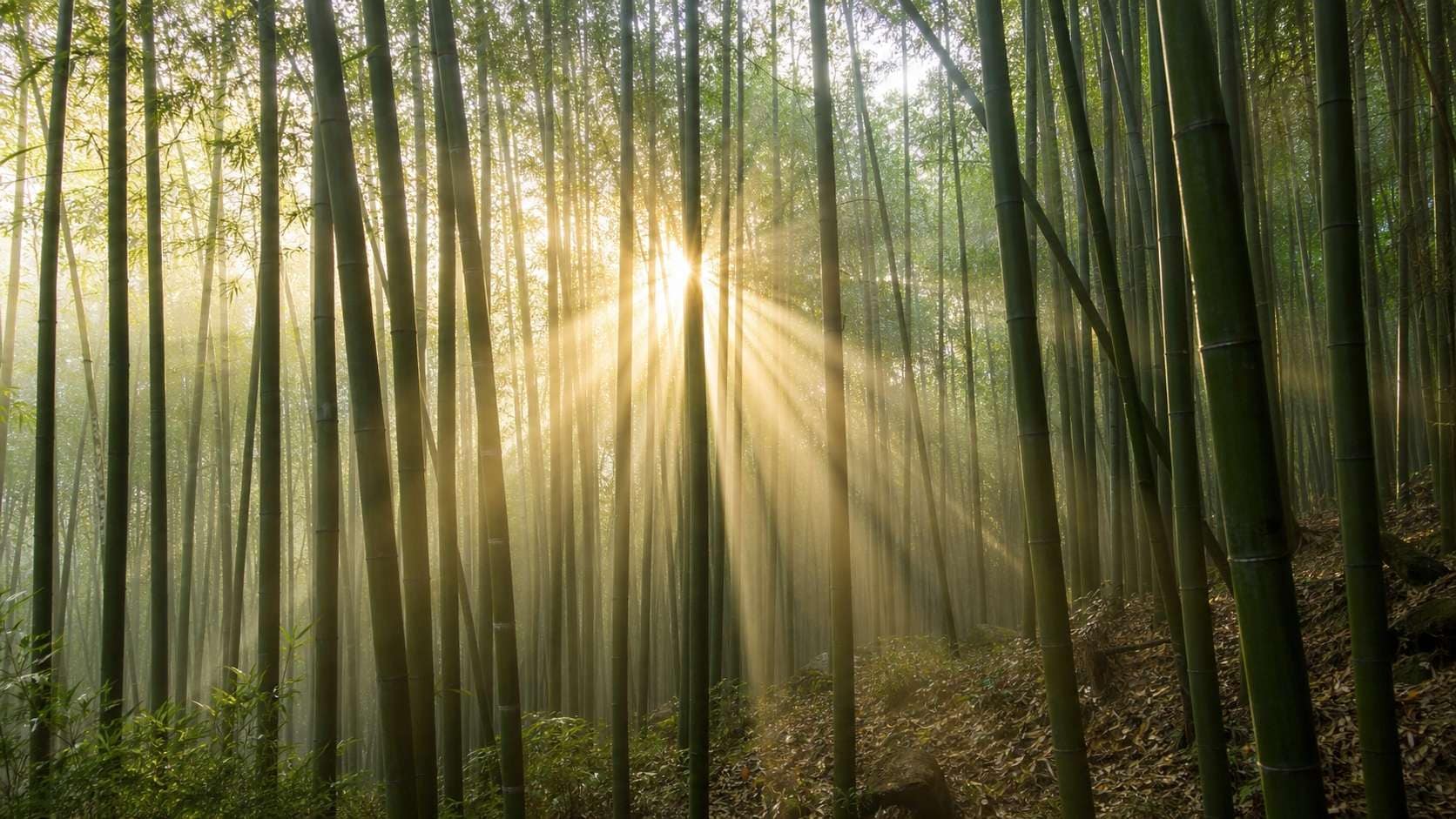 Filmora AI image generator creating AI bamboo prompt visuals