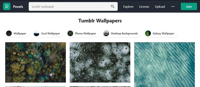 Best 10 Sites to Download Tumblr Wallpapers in High Quality