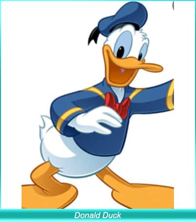 El pato Donald