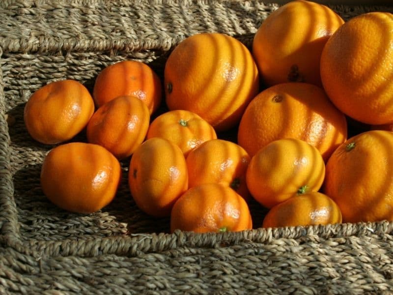 cesta de frutas laranja e tangerina