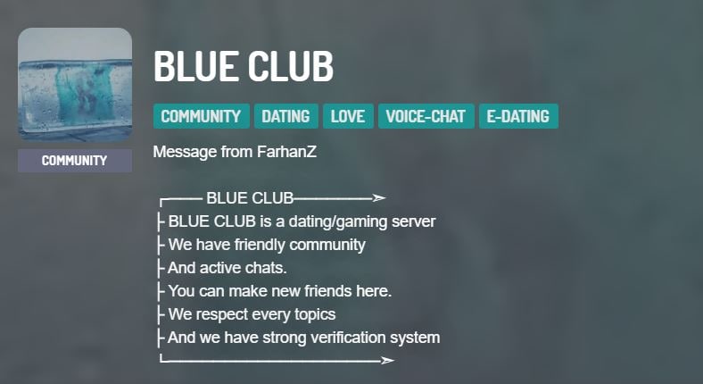 Blue Club Discord Dating Server Interface
