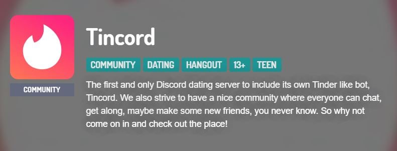 Tincord Discord Dating Server