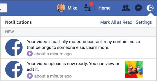 facebook video partially muted