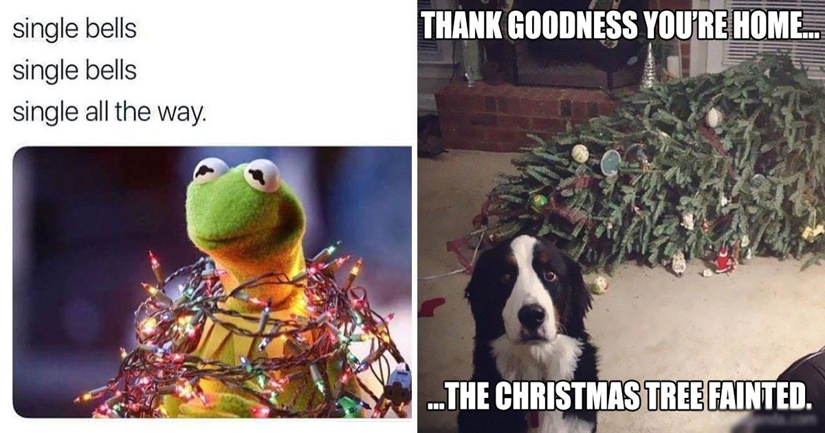 Achten Sie auf diese lustigen Memes zu Weihnachten