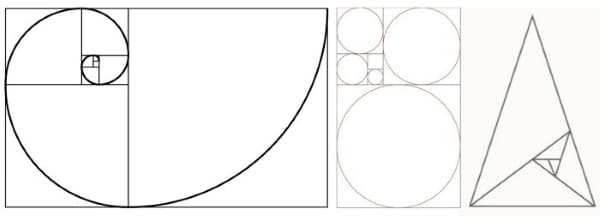 importance of golden ratio