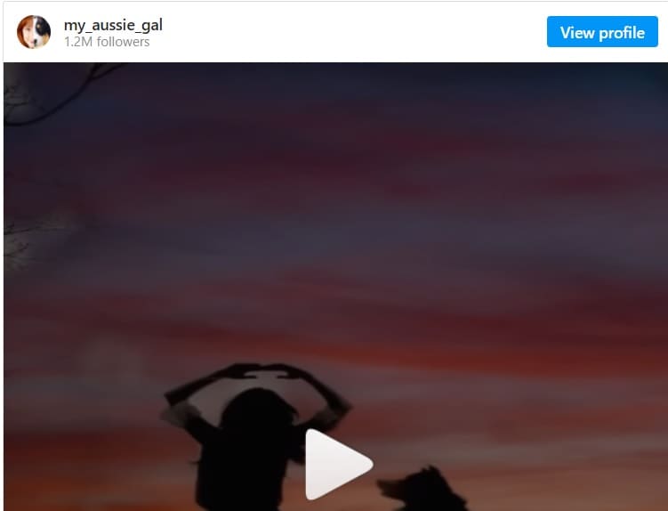 instagram viral video - Runaway Aurora with dog