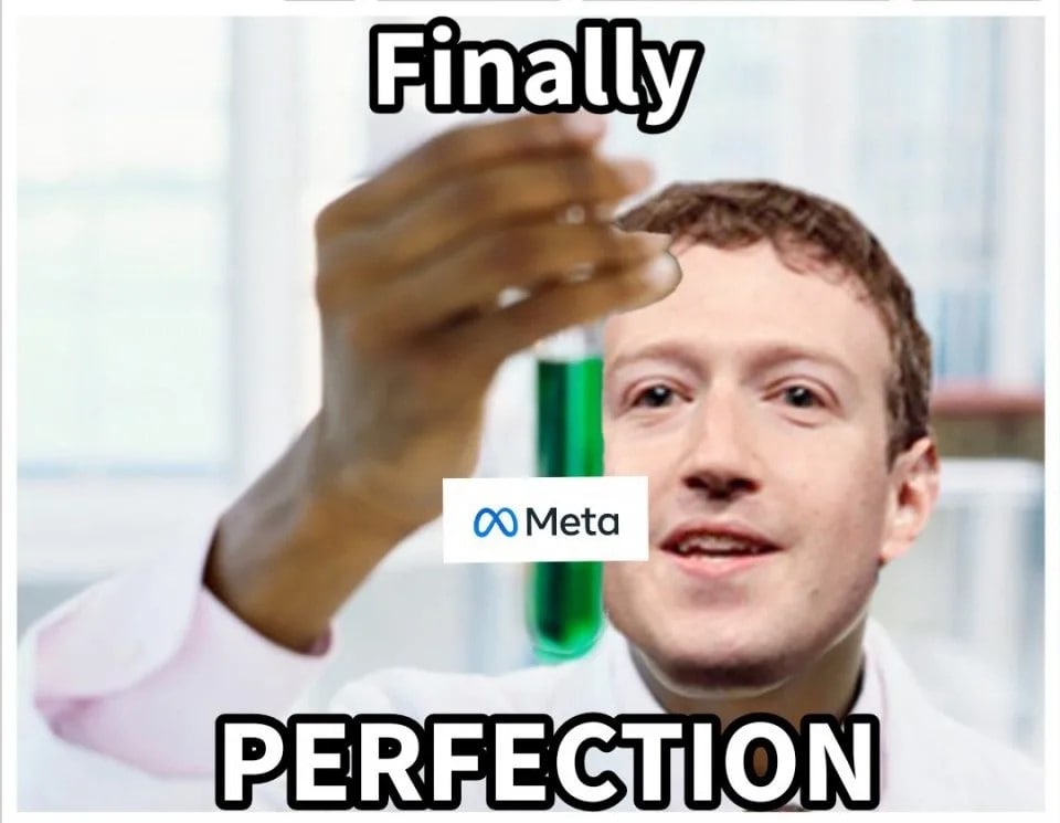 meta perfektion meme