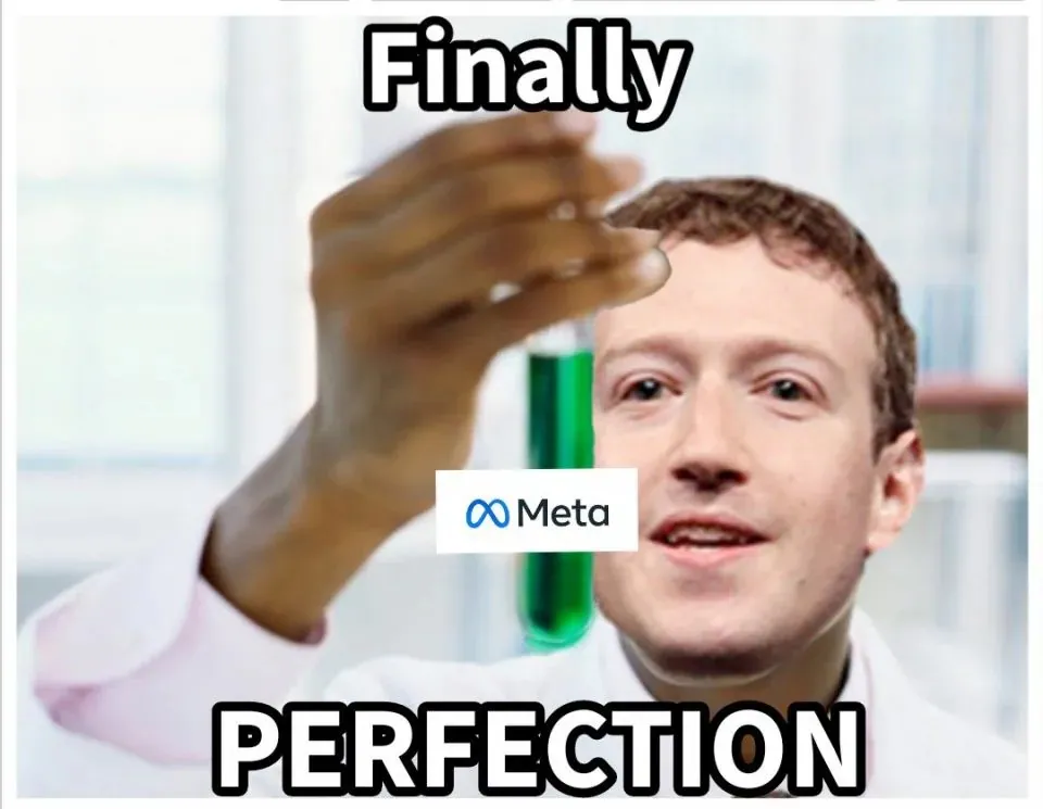 meta perfection meme