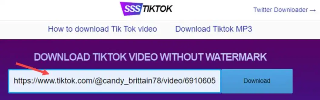 tiktok video converter to mp4