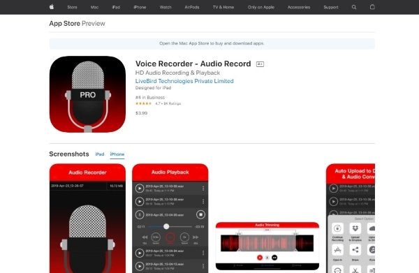 voice recorder audio record