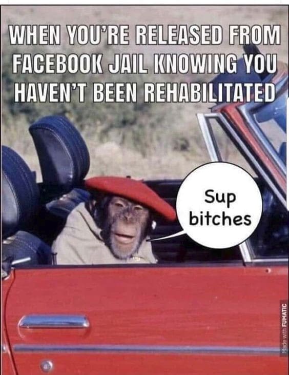 released from facebook jail