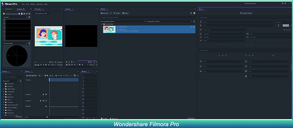 Wondershare Filmora Pro