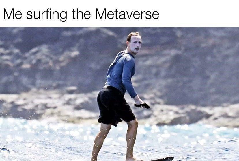surfing metaverse
