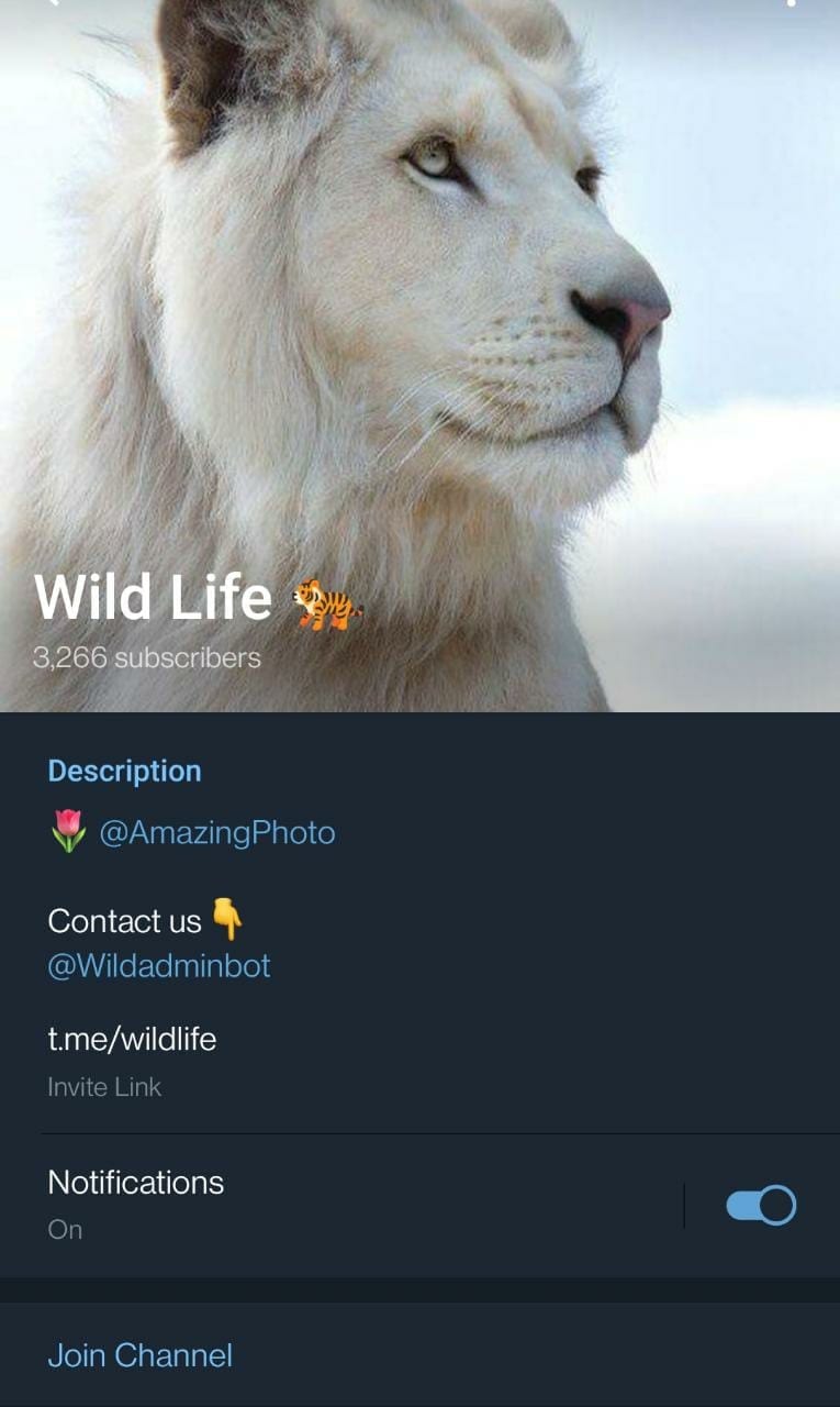 chaîne telegram wildlife
