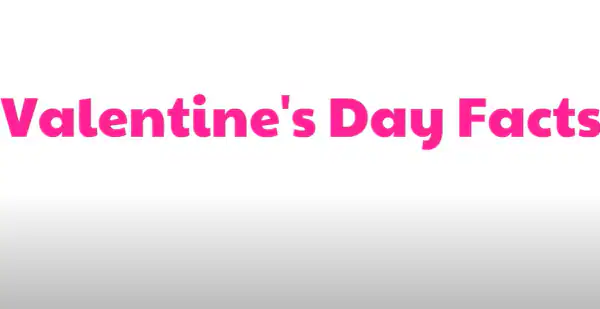 video edukasi hari valentine - Valentine's Day Facts For Kids